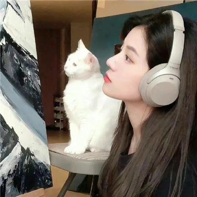 港湾第二季